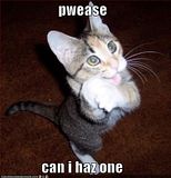 th_Kitty-pwease.jpg