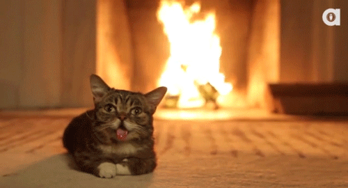 tumblr_my2hi3c3em1ruw1vso1_500.gif