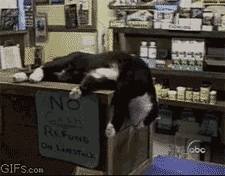 tumblr_m07z77P04Y1rn38bfo1_250.gif