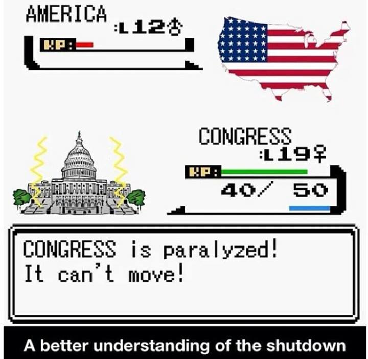 ec7.jpg