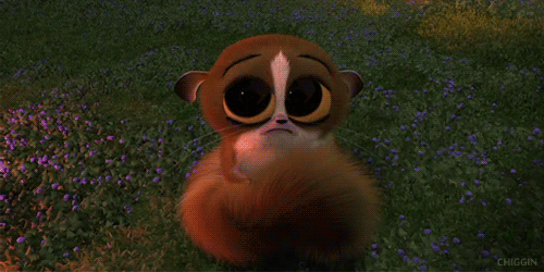 tumblr_lw2gl6K2VQ1qcrzkz.gif