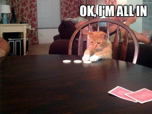 all-in.jpg