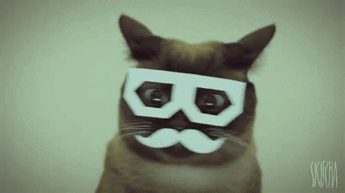 dubstepcat-1.gif