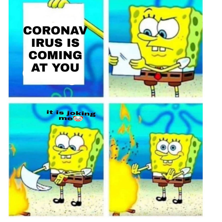 pkvaj.jpg