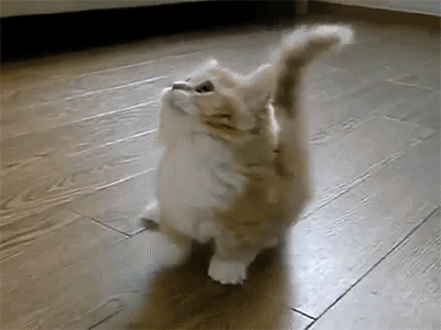 XvRn.gif