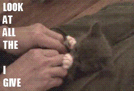kitty.gif