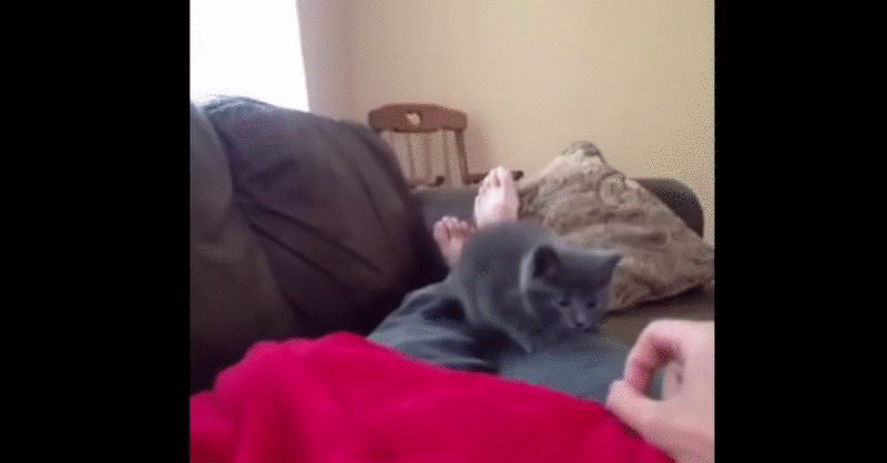 a93e941332956babc9b3c8ffd0963a02.gif