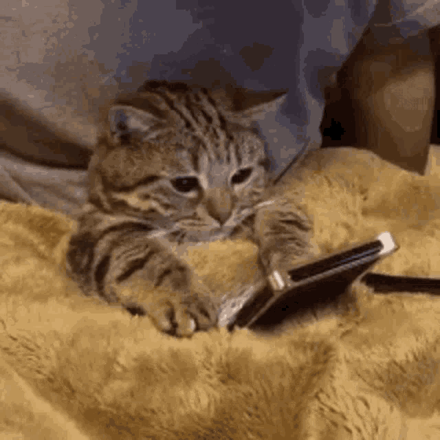 source.gif