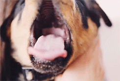 tumblr_mtuw17GLZd1sjqn7wo5_250.gif