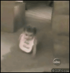 tumblr_lwnz2z4amG1r74cm8o1_250.gif