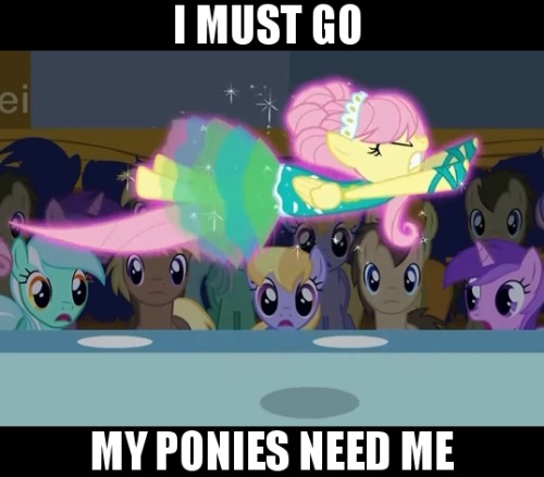 tumblr_ljj0aaCfzz1qffws7o1_500.jpg