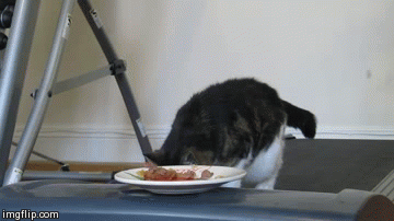 7g3qv.gif