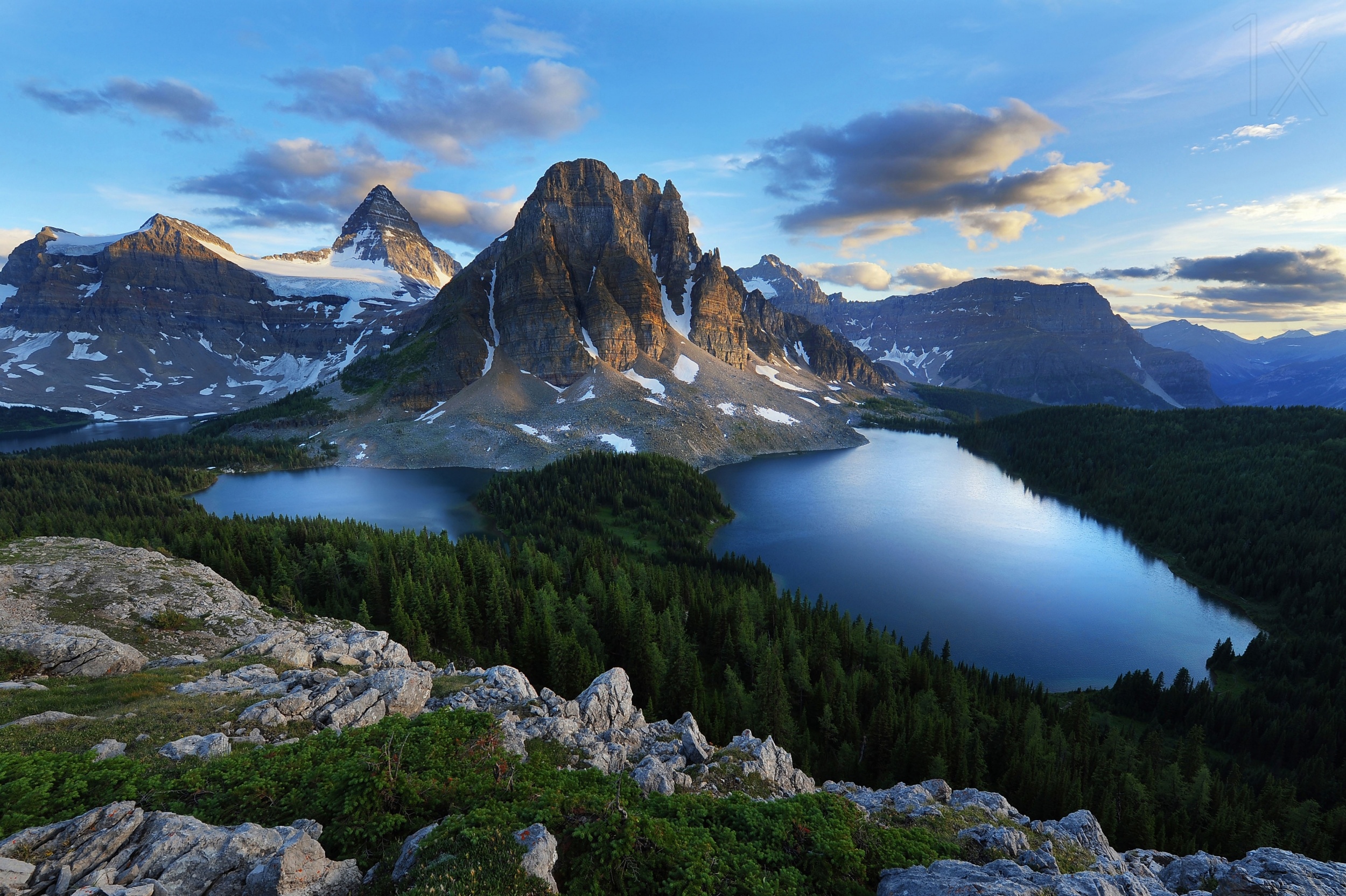cbe9d0957d7cb623b75f6f4bf9445b48-hd2.jpg
