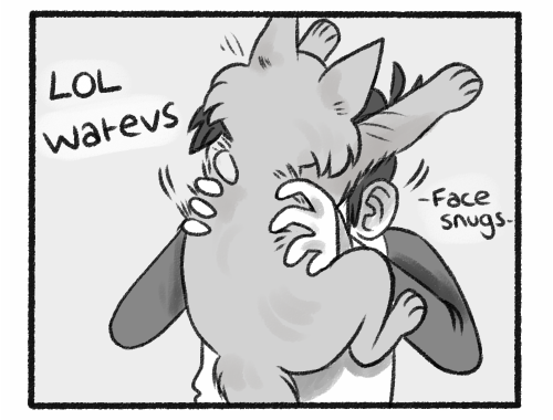 tumblr_n9i1llz0JJ1sn7jsco3_500.png