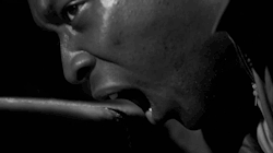 tumblr_m6b9px83iJ1ro5pg5o1_250.gif