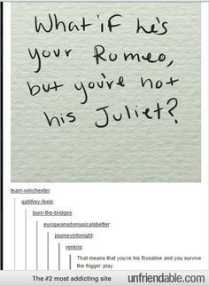 tumblr_na9o7bo5qG1tficwmo4_250.jpg