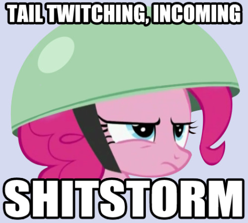 tumblr_ljgtn6i2qN1qasu9so1_500.jpg