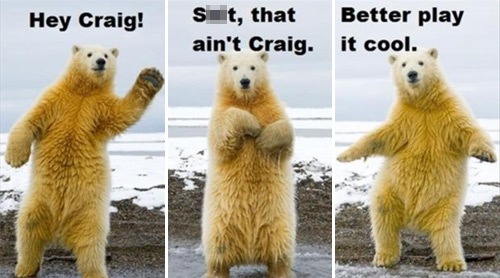 cool-bear.jpg