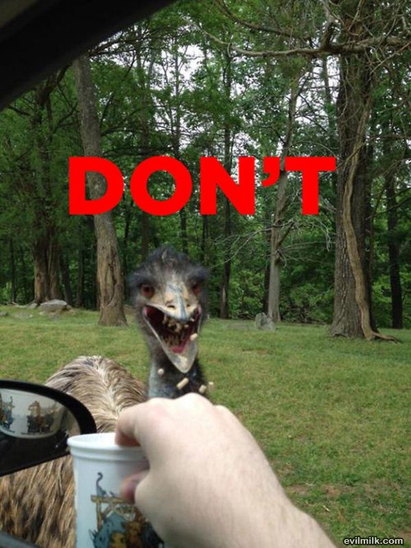 dont_do_it-img-1269.jpg