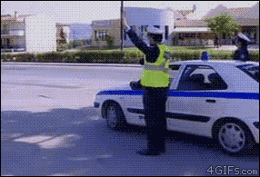 431.gif