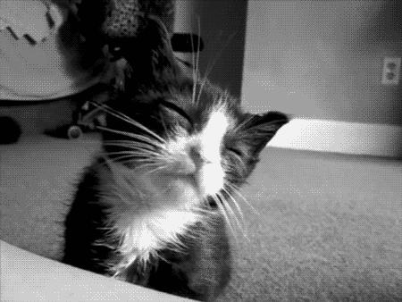 tumblr_mj1od6txmJ1s705p2o1_500.gif