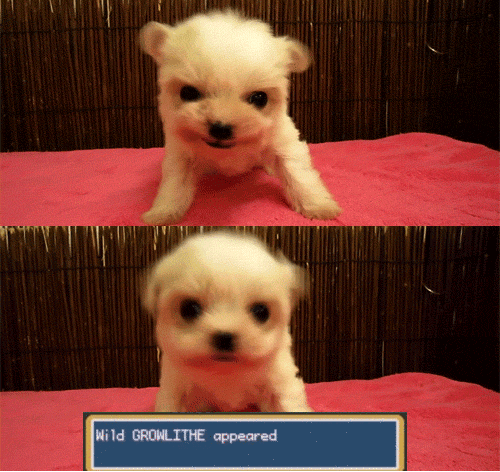 h9E0D14E2