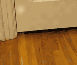 tumblr_lzgn12SjBY1r7z3jlo1_400.gif
