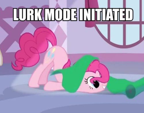 tumblr_llka8h1M421qjxtmio1_500.jpg