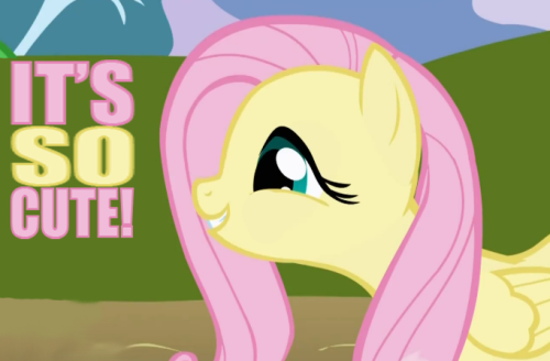 tumblr_liriz1XD2W1qiq96ko1_500.png