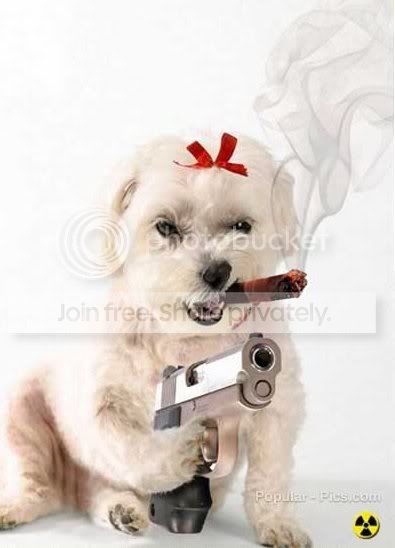 Gangster_Dog1.jpg