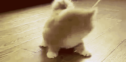 get.gif