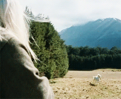 tumblr_miwxkbYGns1s5czvko4_250.gif