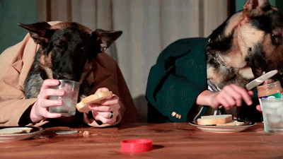 tumblr_ml50bsetFh1r3gb3zo1_400.gif