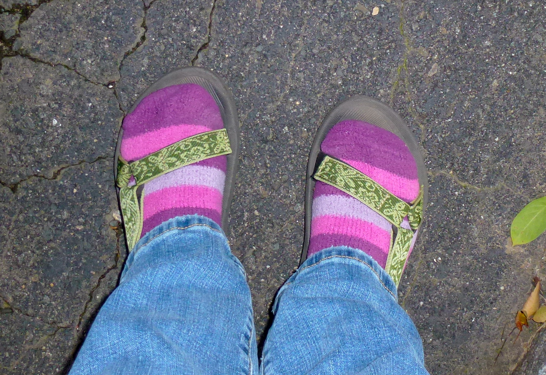 p1000153.jpg