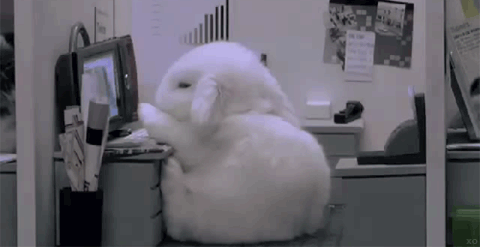 tumblr_mgtcmsTyh81rly37qo1_500.gif