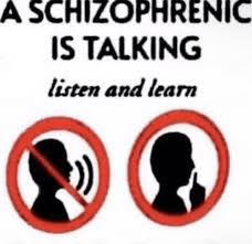 a-schizo-is-speaking-schizophrenia.gif