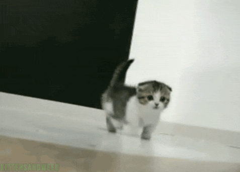 tumblr_nmysxjzXKb1snyhk8o8_500.gif