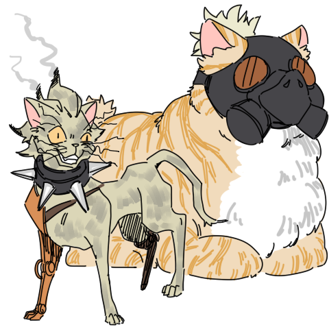 tumblr_o7a2p3w7PG1vui4t7o8_500.png