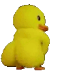 967956188606111764.gif