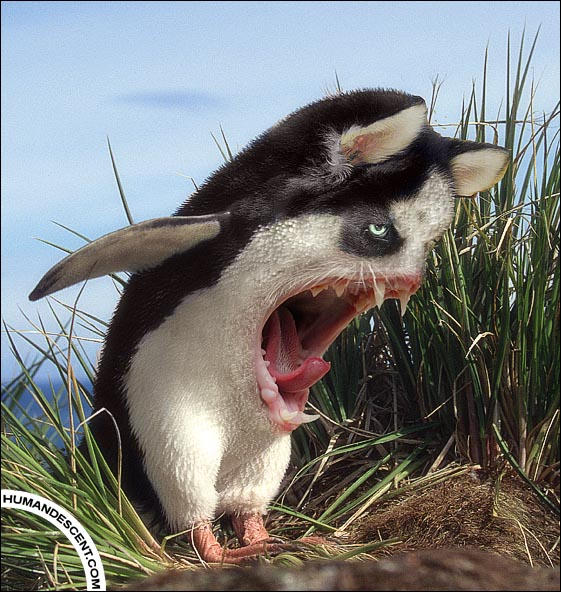 Yawning_or_shouting_by_HumanDescent.jpg