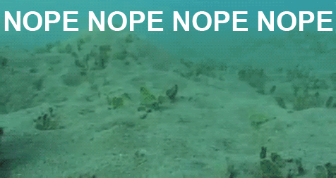 tumblr_n58tfbldbo1tq4of6o1_500.gif
