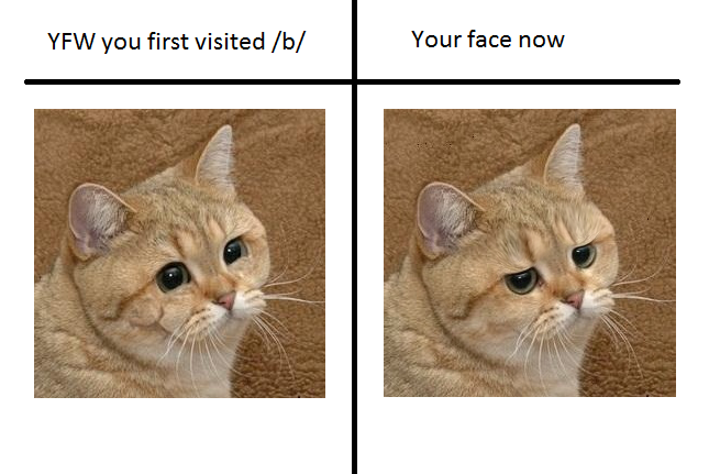 449.png