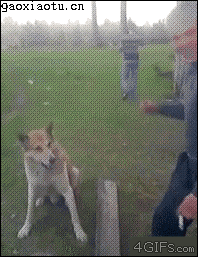 1-121130212S5.gif