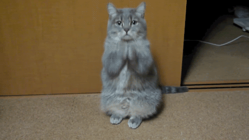 tumblr_m919533UBE1qgvevb.gif