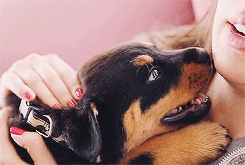 tumblr_mtuw17GLZd1sjqn7wo2_250.gif