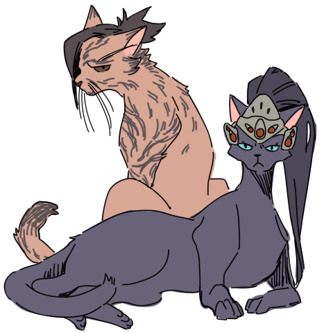 tumblr_o7a2p3w7PG1vui4t7o7_500.png