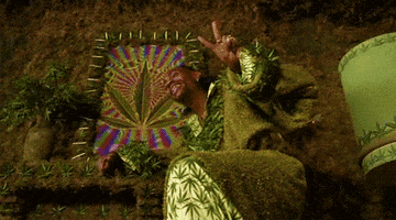 200_s.gif