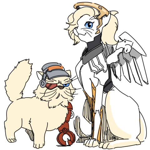 tumblr_o7a2p3w7PG1vui4t7o4_500.png