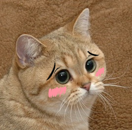 1319852315001.png