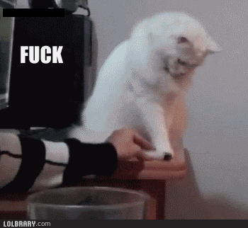 fuck-this-thing-cat.gif